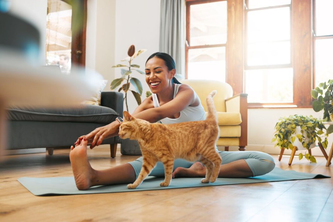 Best Cat Insurance in Wisconsin
