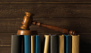 6 Major Types of Lawyers & Their Job Responsibilities